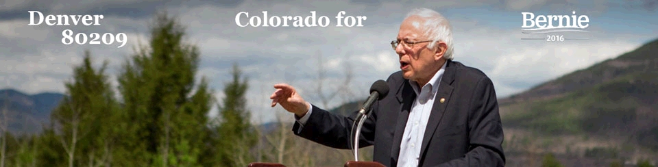 MeetBerniewithoutlogos960x244